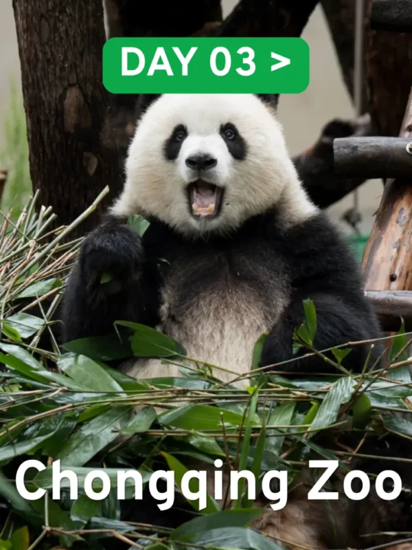 Chongqing Zoo