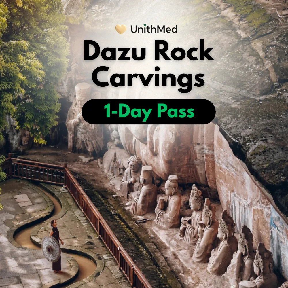 Dazu Rock Carvings Private 1-Day Tour _ Chongqing Day Trip
