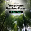 Chongqing Yongchuan Bamboo Forest