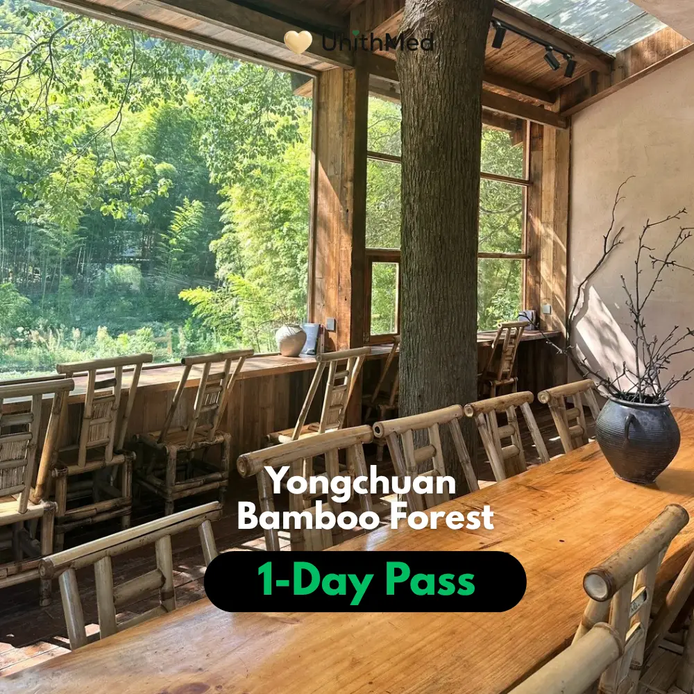 Yongchuan Bamboo Forest 3