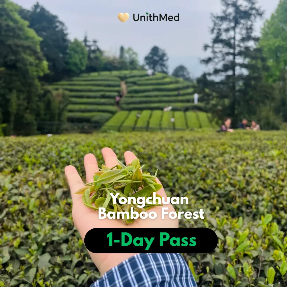Chongqing Yongchuan Bamboo Forest Private 1-Day Tour | Day Trip - Image 4