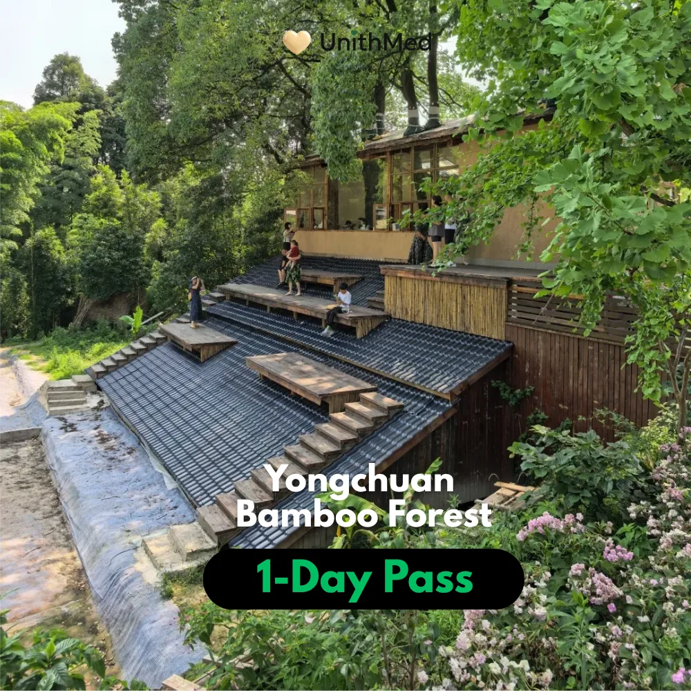 Chongqing Yongchuan Bamboo Forest Private 1-Day Tour | Day Trip - Image 5