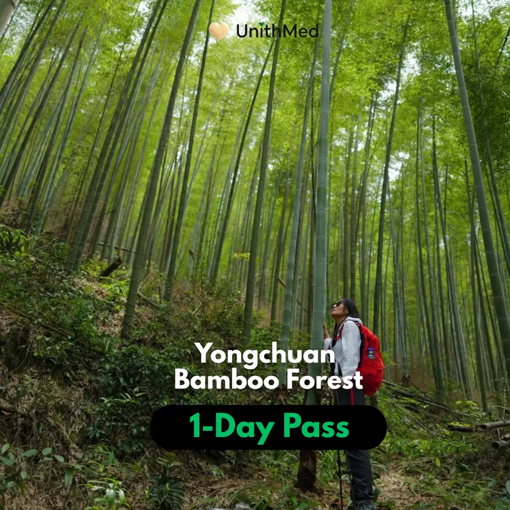 Chongqing Yongchuan Bamboo Forest Private 1-Day Tour | Day Trip - Image 2