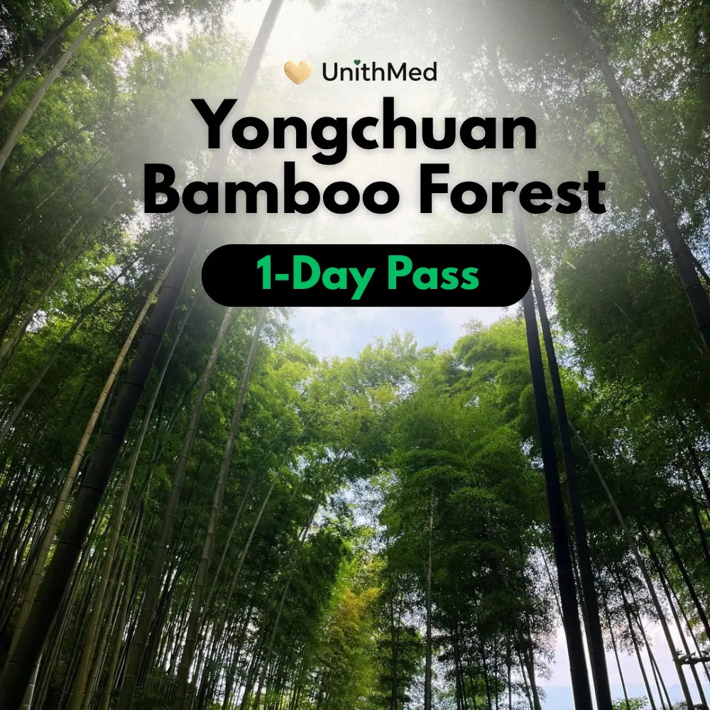 Chongqing Yongchuan Bamboo Forest